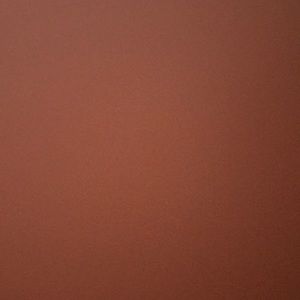 Meet your Posher, Janeth